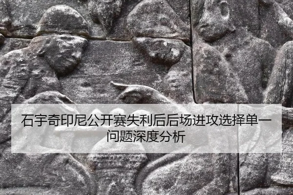 石宇奇印尼公开赛失利后后场进攻选择单一问题深度分析
